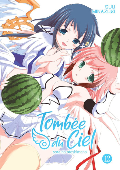 Tombée du Ciel - Tome 12