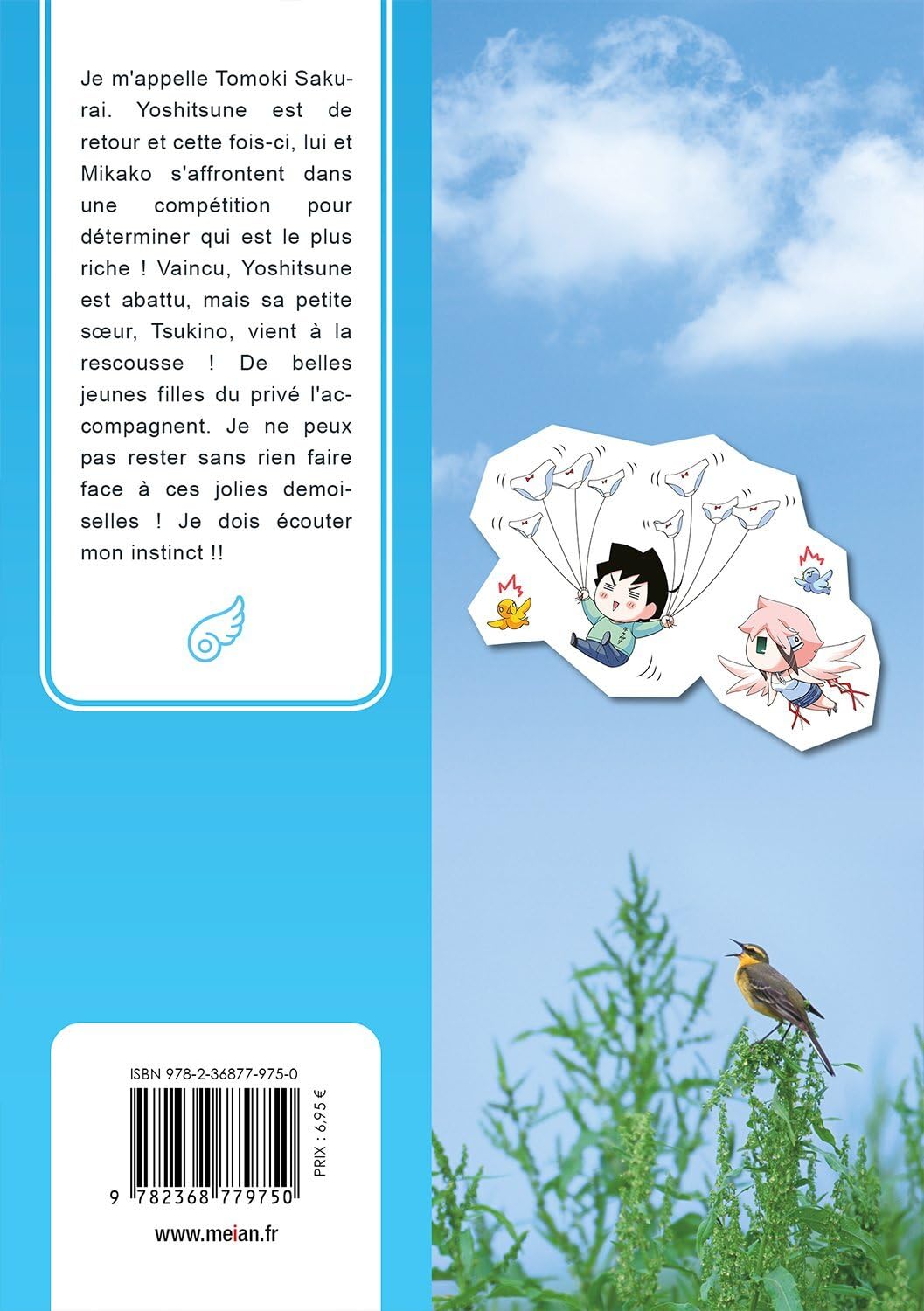 Tombée du Ciel - Tome 15