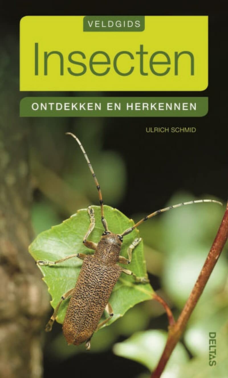 Insecten: ontdekken en herkennen (Veldgids