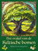 Het orakel van de Keltische bomen: boek en kaartenset