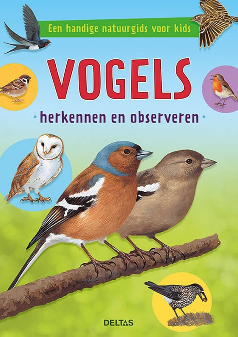 Vogels herkennen en observeren: een handige natuurgids voor kids
