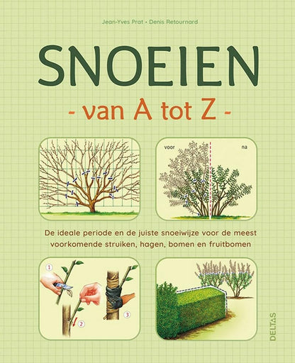 Snoeien van A tot Z: de ideale periode en de juiste snoeiwijze voor de meest voorkomende struiken, hagen, bomen en fruitbomen