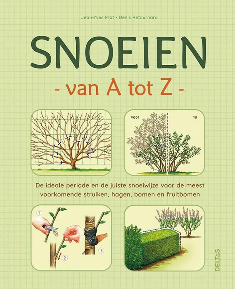 Snoeien van A tot Z: de ideale periode en de juiste snoeiwijze voor de meest voorkomende struiken, hagen, bomen en fruitbomen