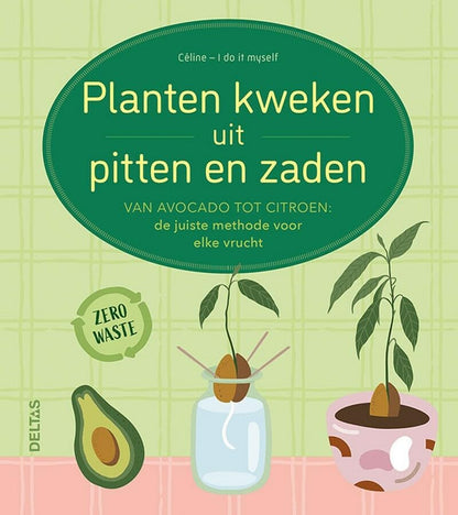 Planten kweken uit pitten en zaden: van avocado tot citroen: de juiste methode voor elke vrucht