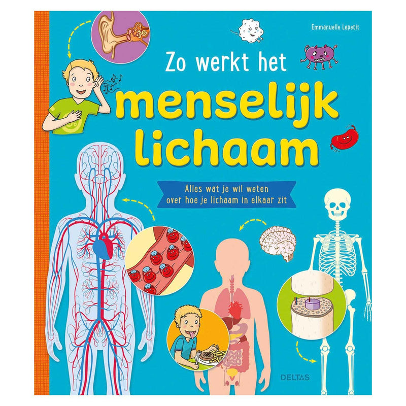 Zo werkt het menselijk lichaam