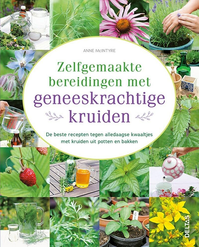 Zelfgemaakte bereidingen met geneeskrachtige kruiden: De beste recepten tegen alledaagse kwaaltjes met kruiden uit potten en bakken