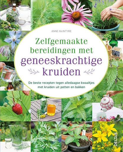 Zelfgemaakte bereidingen met geneeskrachtige kruiden: De beste recepten tegen alledaagse kwaaltjes met kruiden uit potten en bakken