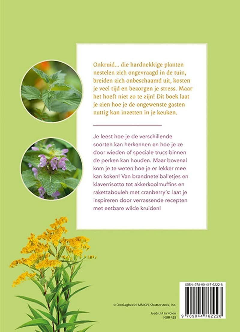 Koken met wilde kruiden: heerlijke recepten met paardenbloem, brandnetel, hondsdraf en co