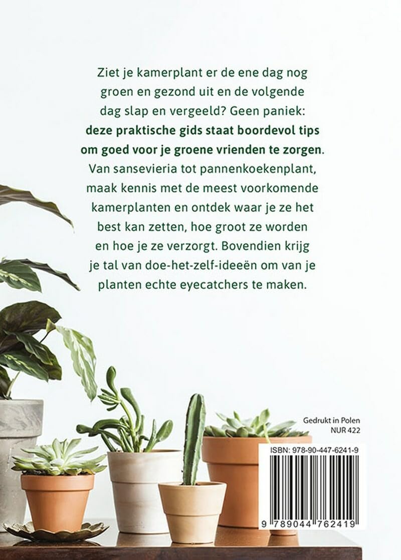 Basisgids kamerplanten: de beste verzorgingstips voor de populairste soorten