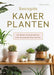 Basisgids kamerplanten: de beste verzorgingstips voor de populairste soorten
