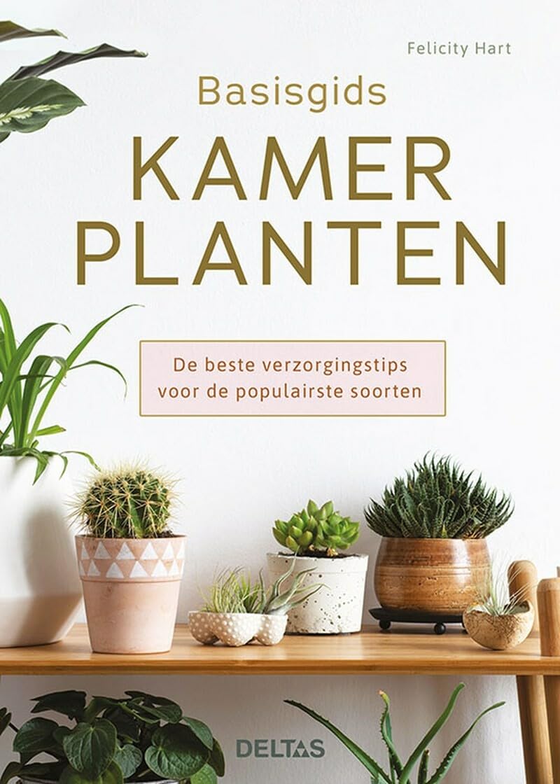 Basisgids kamerplanten: de beste verzorgingstips voor de populairste soorten