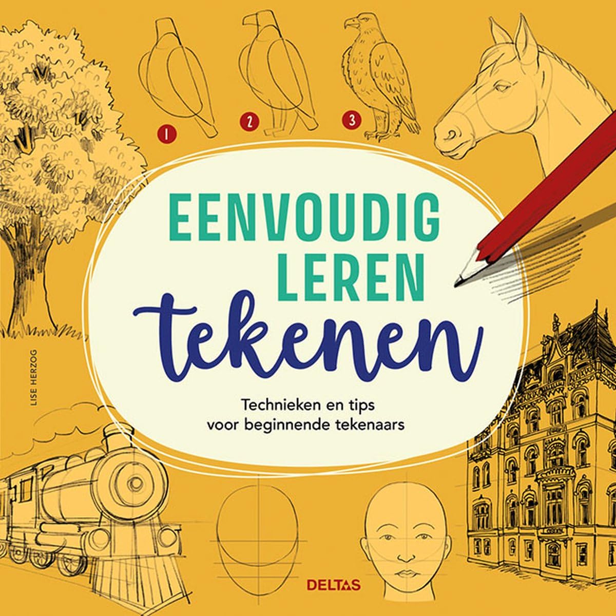 Eenvoudig leren tekenen: technieken en tips voor beginnende tekenaars