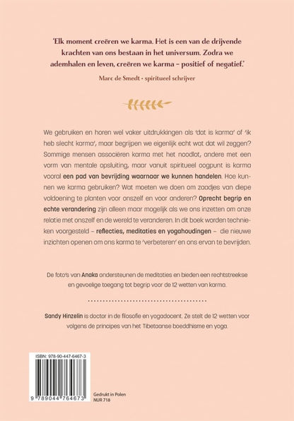 De 12 wetten van Karma: gebruik de universele principes van karma voor een positieve verandering bij jezelf en in de wereld
