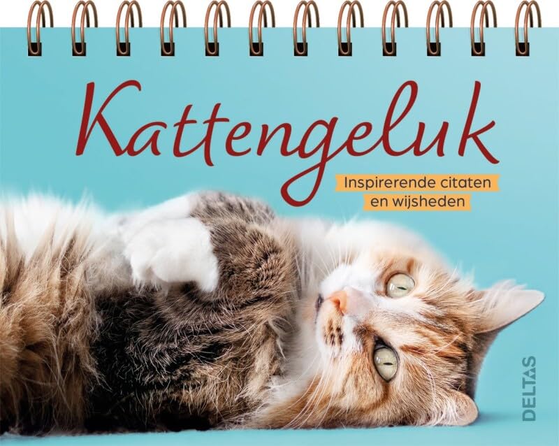 Kattengeluk - Tafelstaander: Inspirerende citaten en wijsheden