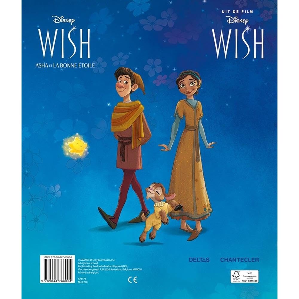 Disney Sticker Parade Wish