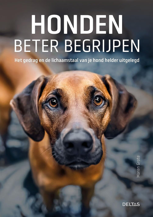 Honden beter begrijpen: het gedrag en de lichaamstaal van je hond helder uitgelegd