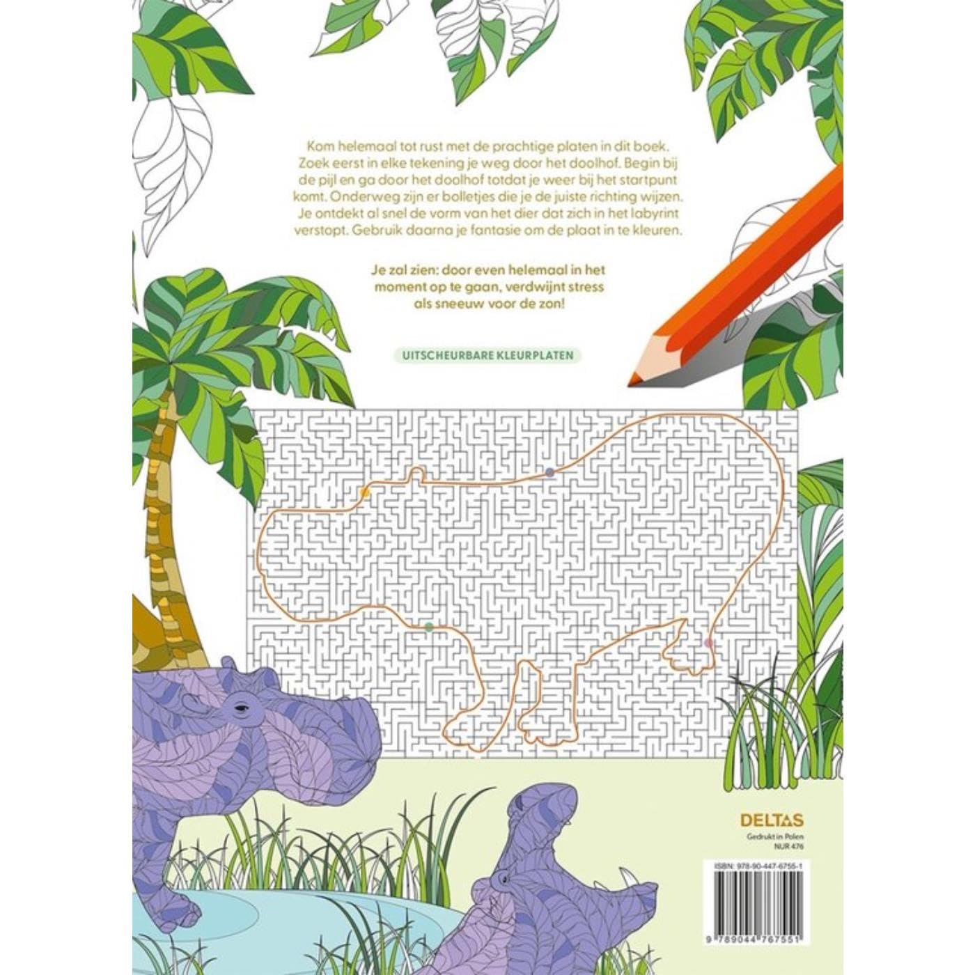 Magische doolhoven - kleurboek voor volwassenen