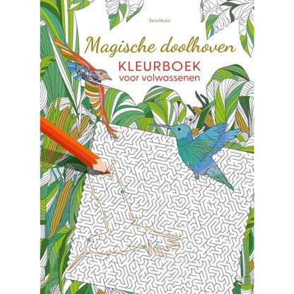 Magische doolhoven - kleurboek voor volwassenen