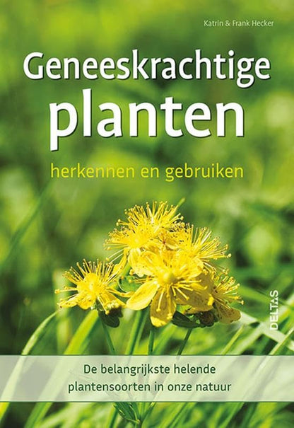 Geneeskrachtige planten herkennen en gebruiken: De belangrijkste helende plantensoorten in onze natuur