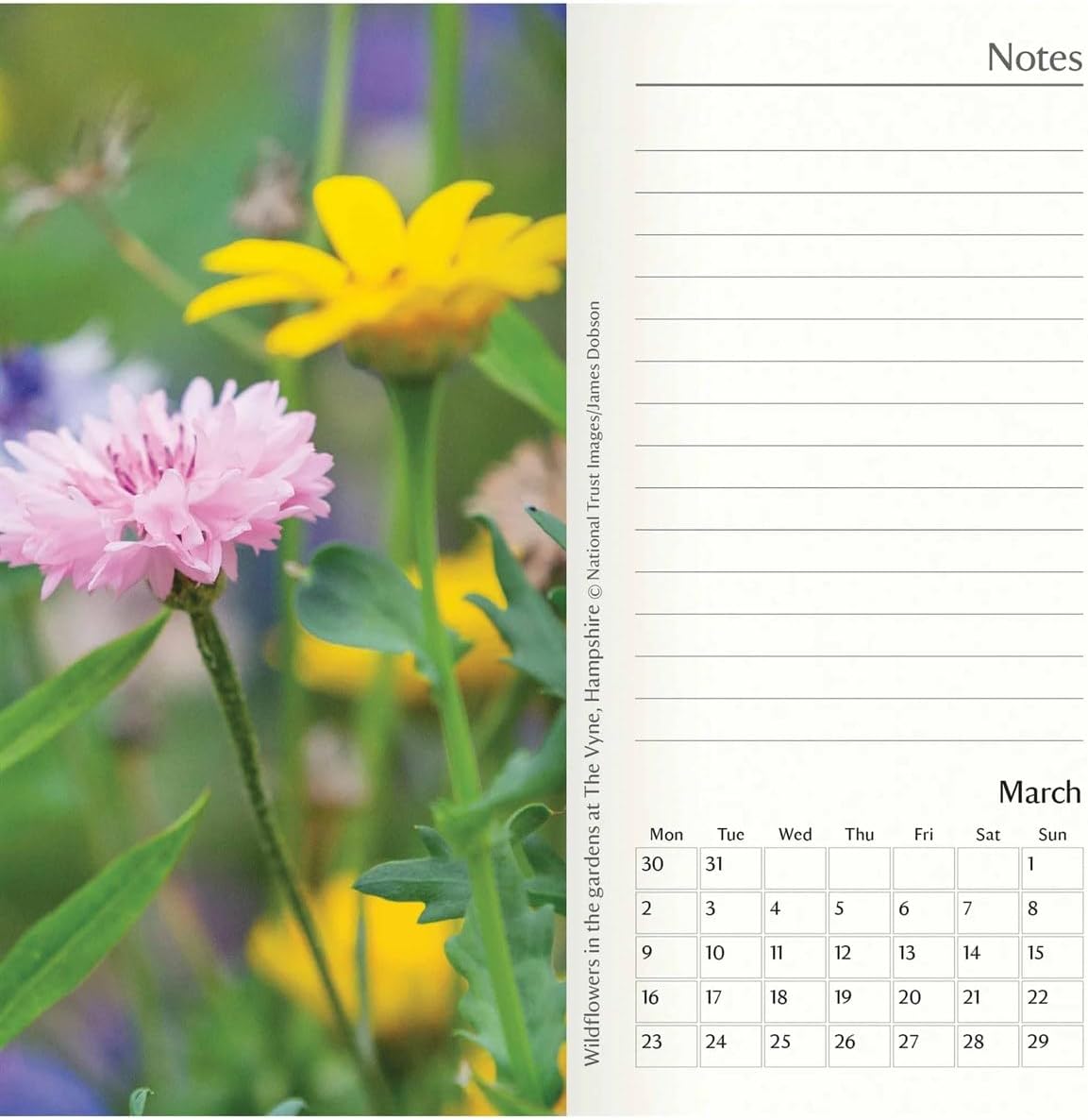 Carousel Worldwide, National Trust 2026 Deluxe Slim Diary Planner