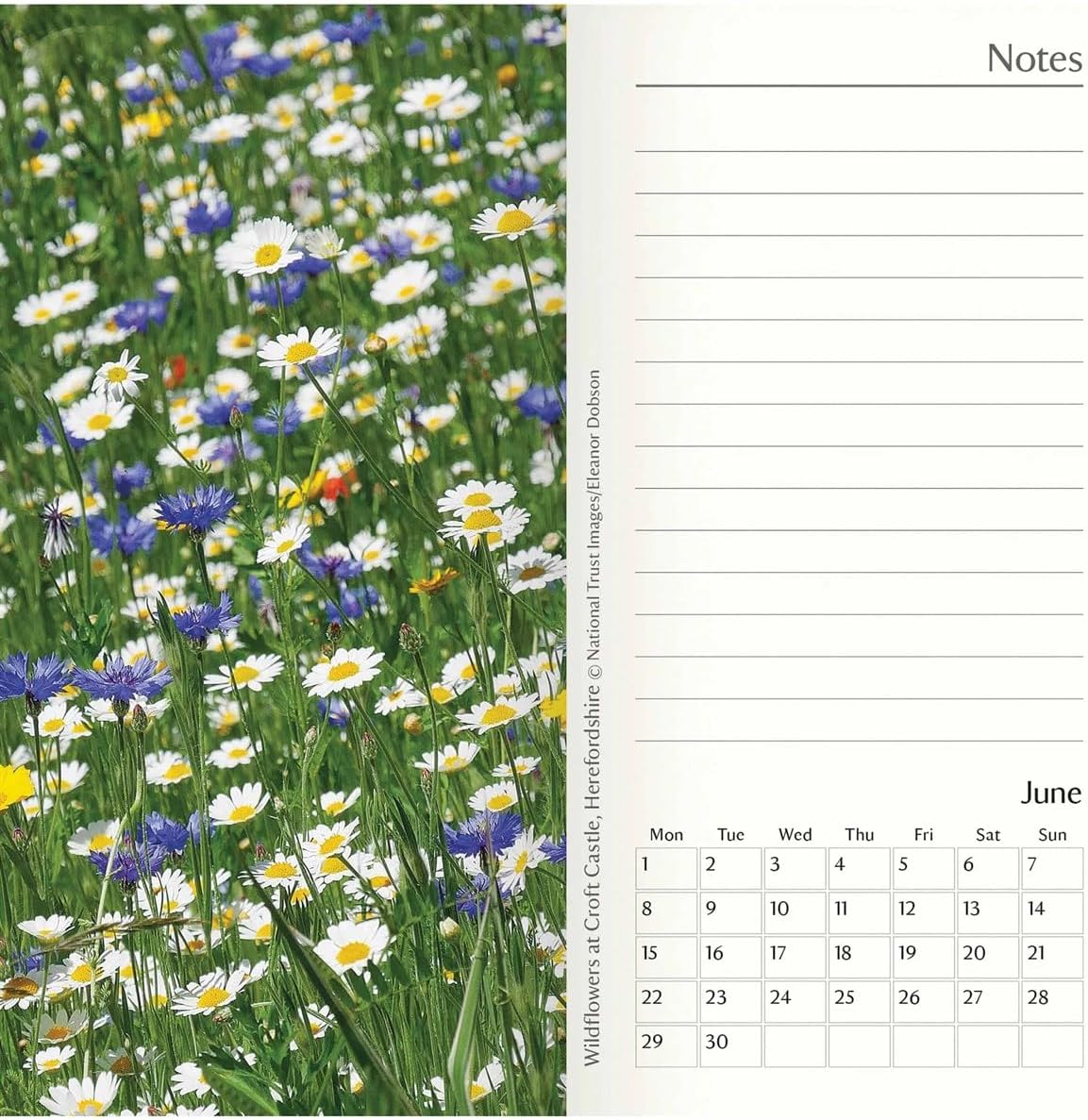 Carousel Worldwide, National Trust 2026 Deluxe Slim Diary Planner