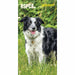 Carousel Worldwide, RSPCA 2026 Slim Diary Planner