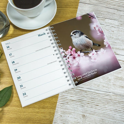 Carousel Worldwide RSPB 2026 Deluxe Wire-O Diary Planner – Weekly & Monthly Organiser with Wildlife Illustrations