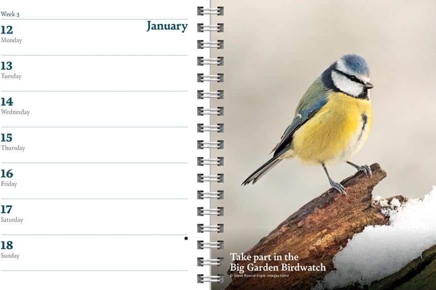 Carousel Worldwide RSPB 2026 Deluxe Wire-O Diary Planner – Weekly & Monthly Organiser with Wildlife Illustrations