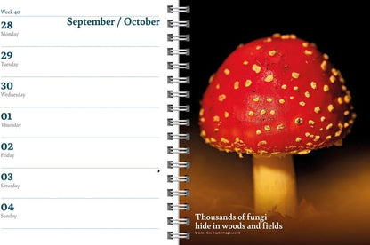 Carousel Worldwide RSPB 2026 Deluxe Wire-O Diary Planner – Weekly & Monthly Organiser with Wildlife Illustrations