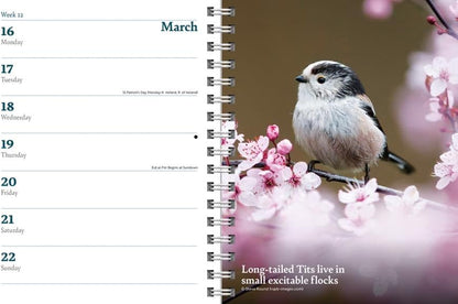 Carousel Worldwide RSPB 2026 Deluxe Wire-O Diary Planner – Weekly & Monthly Organiser with Wildlife Illustrations