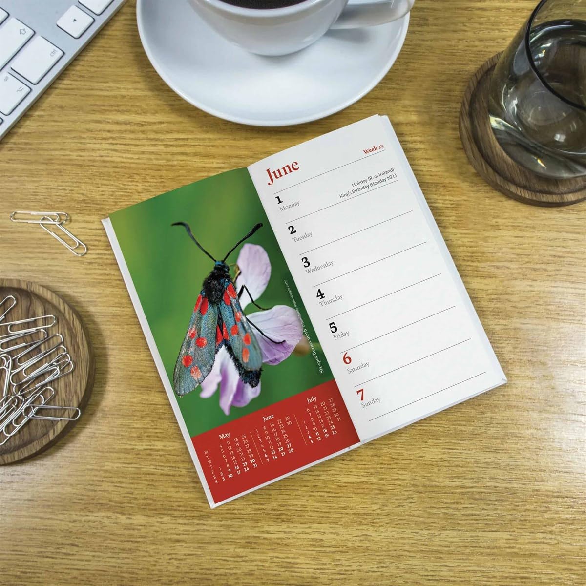 Rolling Stones 2022 Calendar With Rolling Stones Fridge Magnet