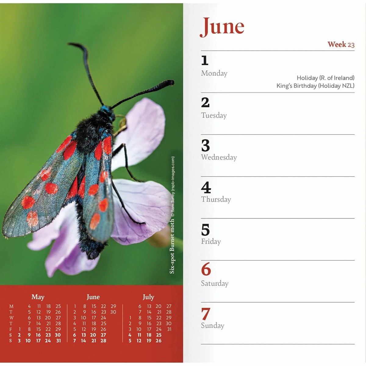 Rolling Stones 2022 Calendar With Rolling Stones Fridge Magnet