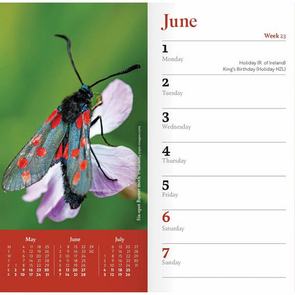 Rolling Stones 2022 Calendar With Rolling Stones Fridge Magnet