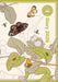 Royal Botanic Gardens Kew A6 Diary 2026
