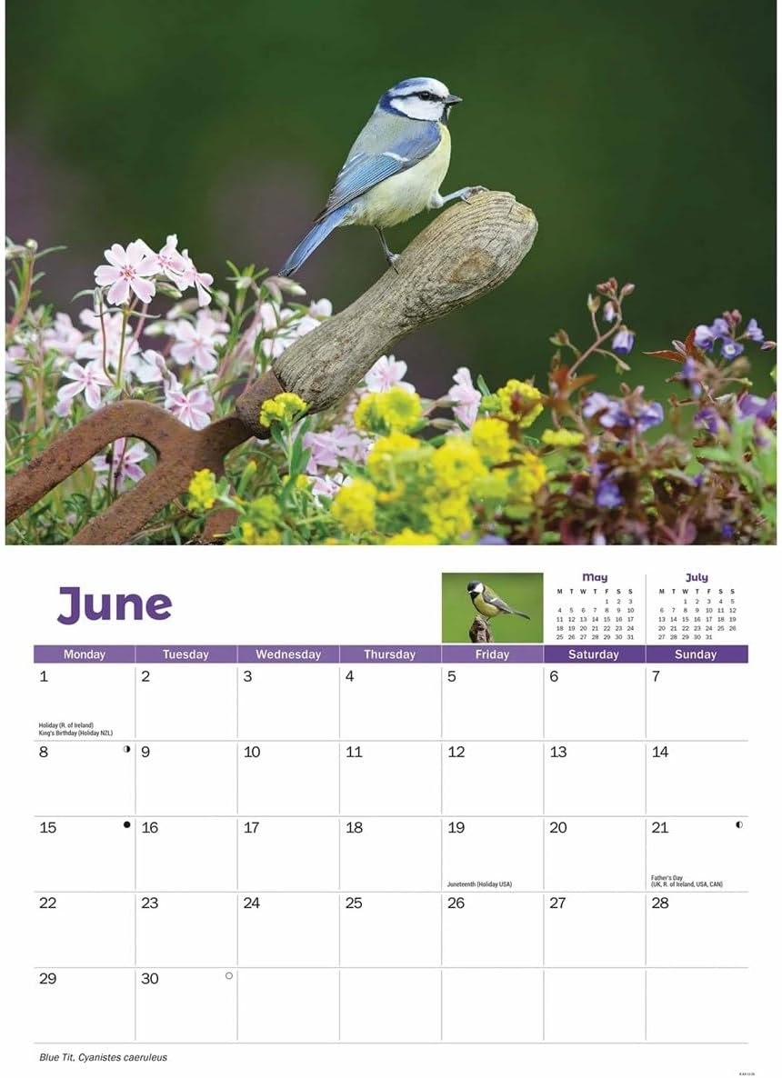 Carousel Worldwide, Garden Birds 2026 A4 Wall Calendar