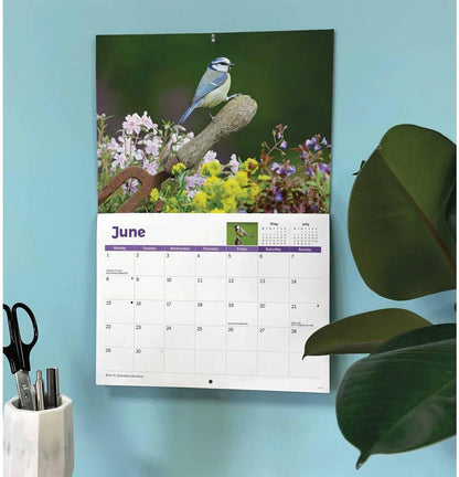 Carousel Worldwide, Garden Birds 2026 A4 Wall Calendar
