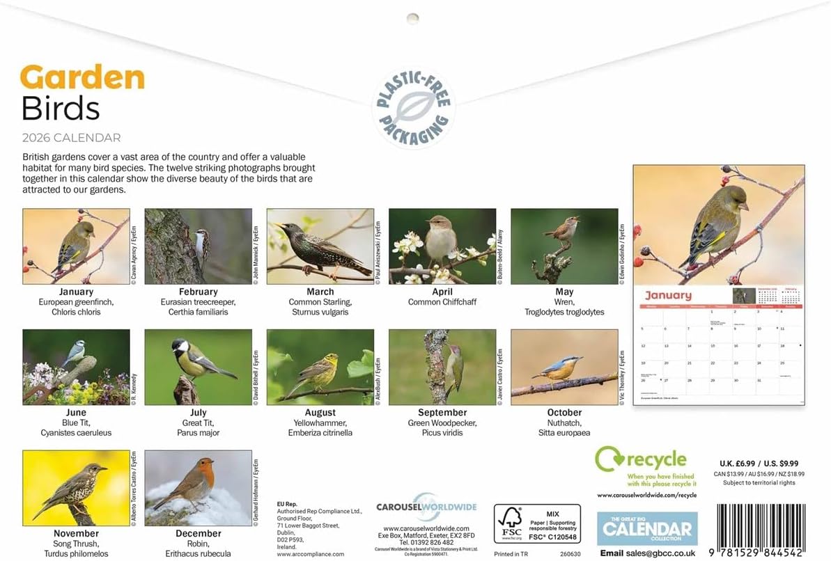 Carousel Worldwide, Garden Birds 2026 A4 Wall Calendar