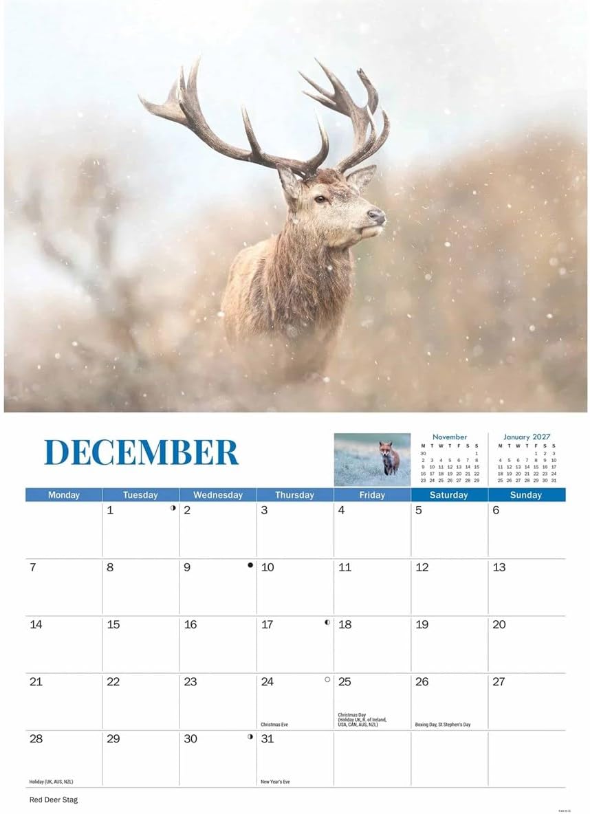 Carousel Worldwide, Wildlife of Britain 2026 A4 Wall Calendar