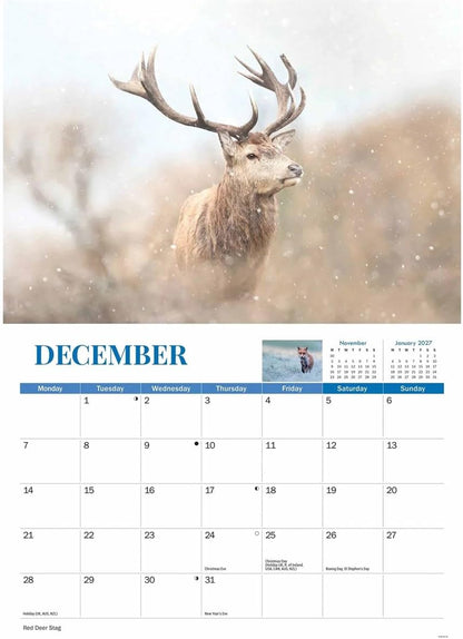 Carousel Worldwide, Wildlife of Britain 2026 A4 Wall Calendar