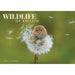 Carousel Worldwide, Wildlife of Britain 2026 A4 Wall Calendar