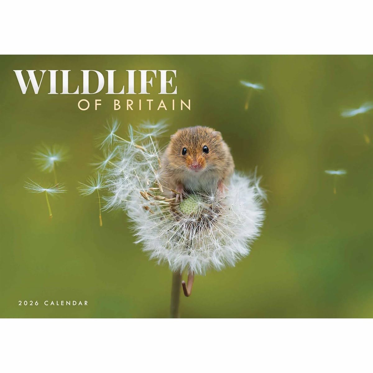 Carousel Worldwide, Wildlife of Britain 2026 A4 Wall Calendar