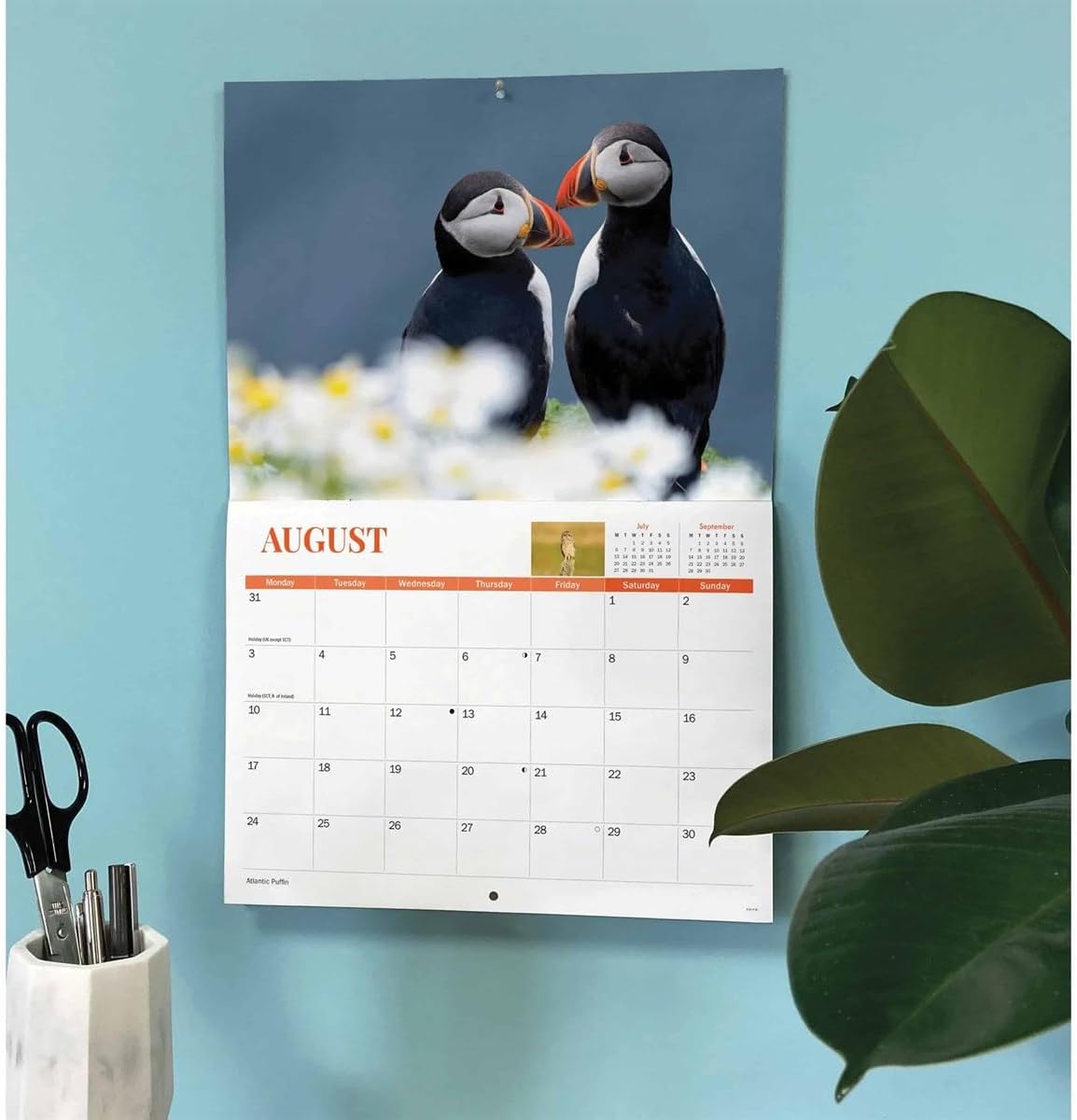 Carousel Worldwide, Wildlife of Britain 2026 A4 Wall Calendar