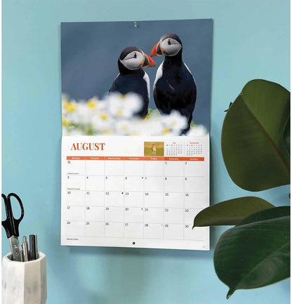 Carousel Worldwide, Wildlife of Britain 2026 A4 Wall Calendar