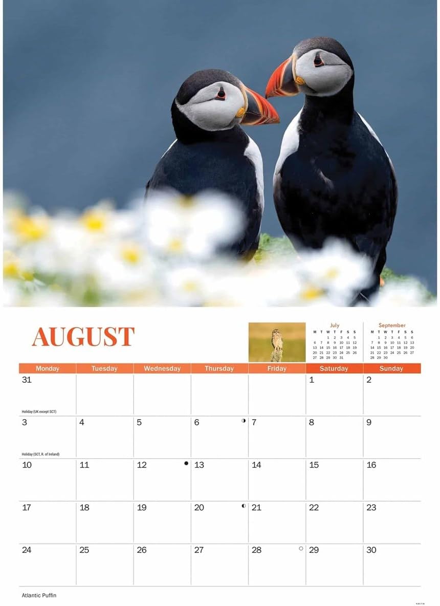 Carousel Worldwide, Wildlife of Britain 2026 A4 Wall Calendar