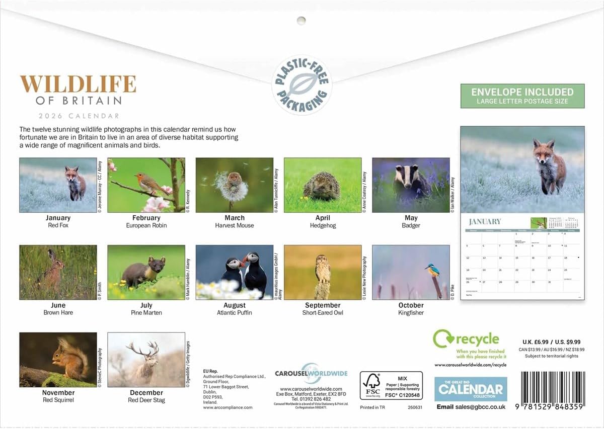 Carousel Worldwide, Wildlife of Britain 2026 A4 Wall Calendar