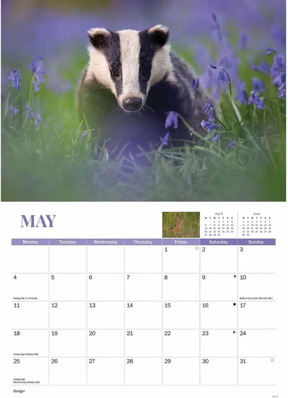Carousel Worldwide, Wildlife of Britain 2026 A4 Wall Calendar