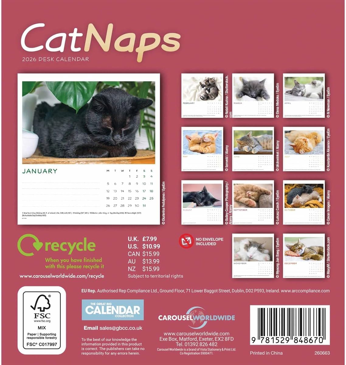Carousel Worldwide, Cat Naps 2026 Easel Desk Calendar