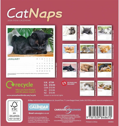 Carousel Worldwide, Cat Naps 2026 Easel Desk Calendar