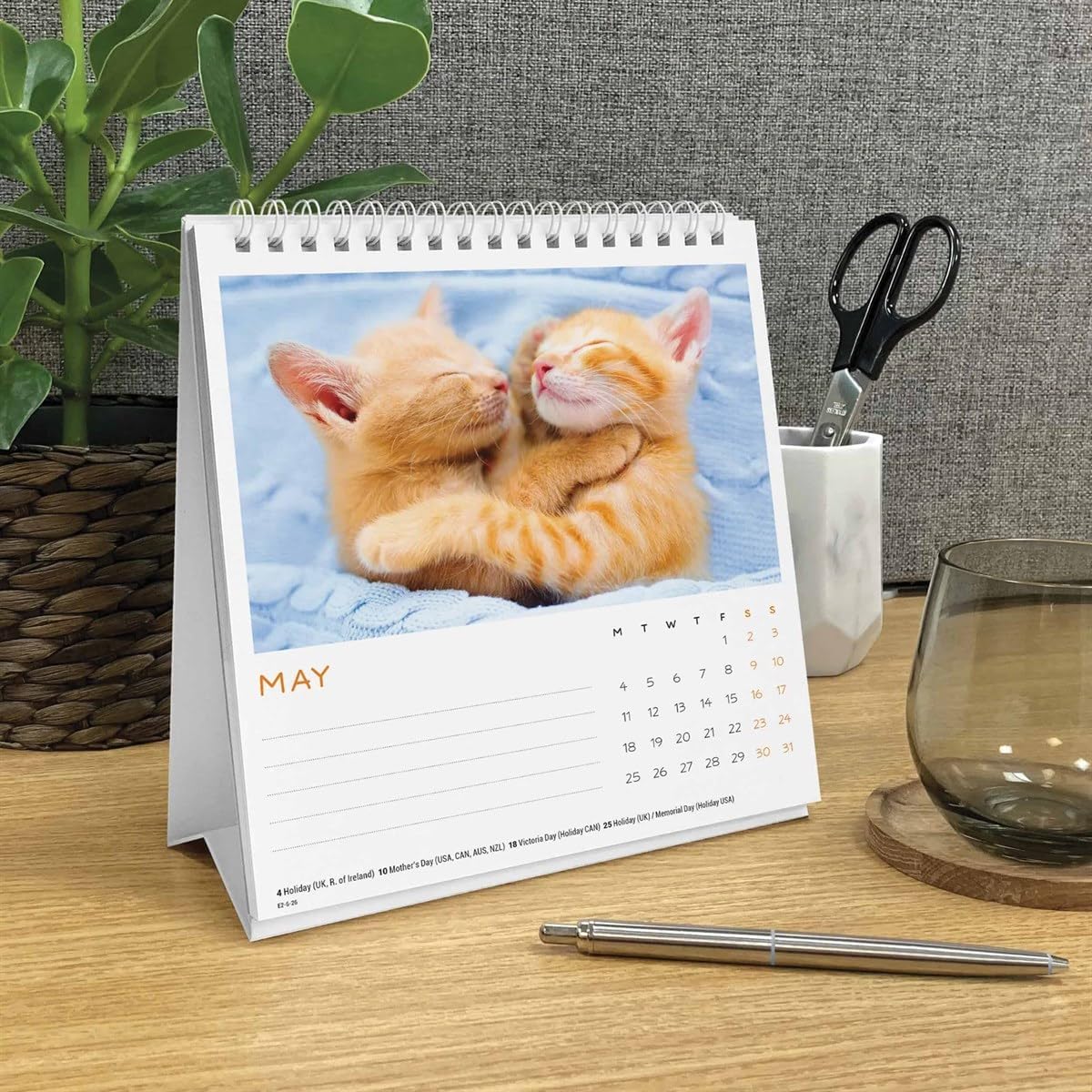 Carousel Worldwide, Cat Naps 2026 Easel Desk Calendar