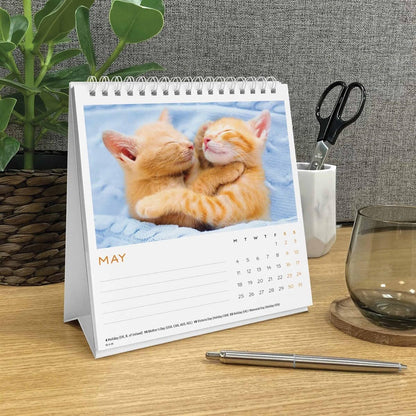 Carousel Worldwide, Cat Naps 2026 Easel Desk Calendar